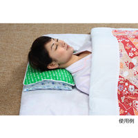 富士商 ホット&クールパッド LLサイズ グリーン F9889 1個 63-3000-37（直送品）