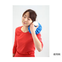 富士商 ハンディ氷のう 大サイズ F2057 1個 63-3000-31（直送品）