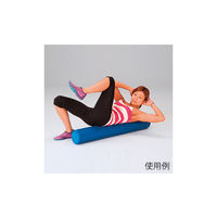 エバニュー リラクフォームローラー ETB277 1本 63-2974-34（直送品）