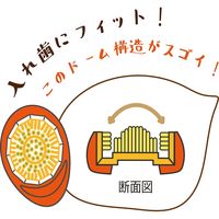 【義歯ブラシ】 入れ歯ブラシ アジャスト デンチャーブラシ(マンゴー) 690039 1個
