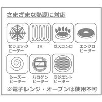 富士ホーロー ウエストファリア　20cm　フライパン 2個（直送品）