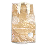 ササガワ 手提げバッグ レースィ 小 50-5412 1包 (25枚袋入)