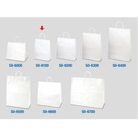 ササガワ 手提げバッグ 白無地 小 50-6100 1包 (10枚袋入)