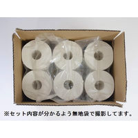 丸英製紙 10年保証備蓄用長尺トイレットペーパー LT-101 1ケース（12ロール入）（わけあり品）