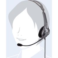 サンワサプライ ワイヤレスガイド用ヘッドセット 親機用 MM-WGS1T用 MM-WGS1T-HS2 1個（直送品）