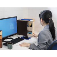 【軒先渡し】ヤマソロ Maronie デスクオーガナイザー 2段 幅100×奥行250×高さ300mm 77-304 1台（直送品）