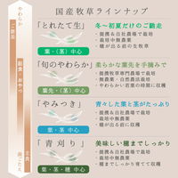 リーフ 令和5年産 国産 やみつき大麦若葉 100g 213159 1個（直送品）