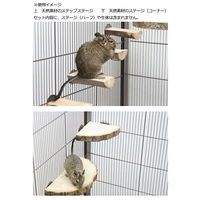 デグー飼育スターターセット 黒ケージver. 266370 1セット（直送品）