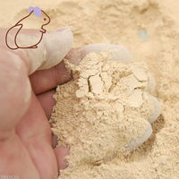 リーフ チンチラの浴び砂 1L×10個 ゼオライトサンド 消臭 国産 398268 1個（直送品）
