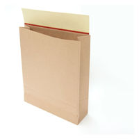 ネクスタ 開封テープ付き宅配袋 茶 小（260×320×80mm） 1パック（10枚入）