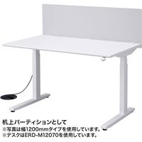 サンワサプライ デスクパーティション クランプ式 幅600×奥行55×高さ410mm フロスト調 SPT-DP60 1個（直送品）