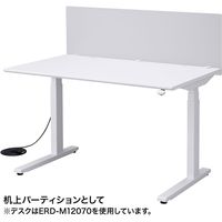 サンワサプライ デスクパーティション クランプ式 幅1200×奥行55×高さ410mm フロスト調 SPT-DP120 1個（直送品）