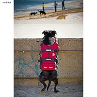 新東亜交易 イージードッグ DFDスタンダード S レッド 中型犬用 4959283055954 1個（直送品）