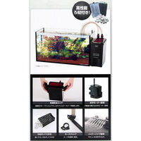 コトブキ パワーボックス 4972814532205 1個（直送品）