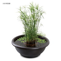 スドー メダカ鉢 黒茶 18号 331730 1個（直送品）