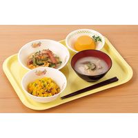 三信化工 エスタートレイ スナック SE-10N-FPU 1枚（直送品）