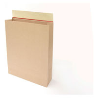 ネクスタ 開封テープ付き宅配袋 茶 大（320×430×100mm） 1セット（100枚：10枚入×10パック）