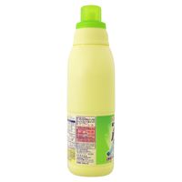 ワイドハイター 本体1000mL 1セット（2個） 衣料用漂白剤 花王