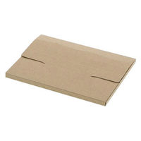 【底面B6】ラクポスBOX 縦145×横195×高さ10mm クラフト 1袋（10枚入）HEIKO