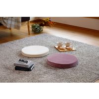 萩原 グレイッシュ 低反発チェアパッド もちもち素材 直径400×高さ50mm アイボリー 240617347 1枚（直送品）