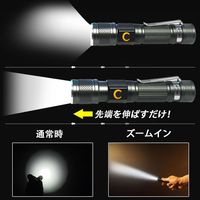 グッド・グッズ LED懐中電灯 ED25-S 1個