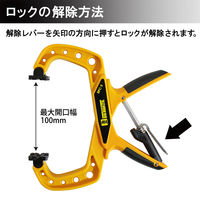 ビッグマン パワークランプ 100mm 042217 1個