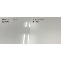 【建築資材・浴室用床シート】フクビ化学工業 壁面化粧パネル 鏡面アルパレージ　KSB AP2KSB 1梱包（2枚入）（直送品）