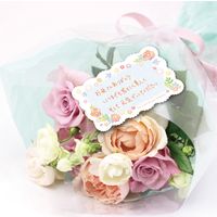 ササガワ ファンタジーカード ピュアバード 16-657 1セット:75枚(15枚袋入×5冊袋入)