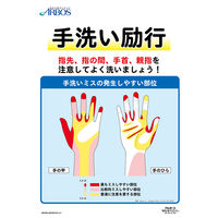 ハンドホイップ 500mL オートディスペンサー用 泡ハンドソープ アルボース
