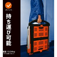 ブラック・アンド・デッカー 折りたたみ式2段カート BOX付き BXWT-H204 1個