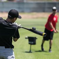 ゼット 野球 トレーニングボール インパクトベースボール 12個入 017239 1個（直送品）