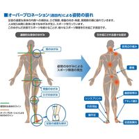 ミューラー スペンコ トータルサポート マックス 25.5ー27cm 男女兼用 7202504 1個（直送品）