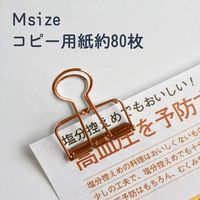 サンケーキコム リーンクリップ ブロンズ Mサイズ LCーM100BZ 1セット(100個入)