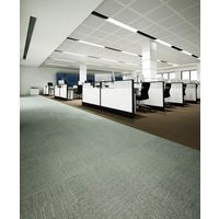 スミノエ 業務用タイルカーペット ECOS SG-300 SG-307 500×500mm 4955141386871 1セット(20枚入)（直送品）