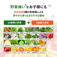 カゴメ 野菜生活100 高知和柑橘ミックス 195ml 1セット（48本）