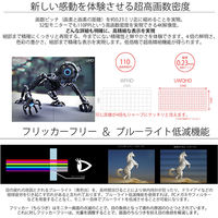 JAPANNEXT 34インチ HDR対応ウルトラワイド液晶ディスプレイ JN-VG34100UWQHDR 1台