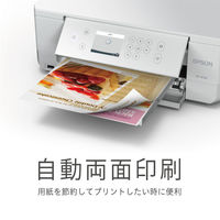 エプソン (EPSON) A4インクジェット複合機プリンタ カラリオ EP-813A 1台