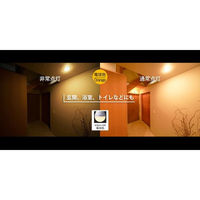 かりはな製作所 蓄電型LED電球 防災電球 電球色 KS-01OR 1個