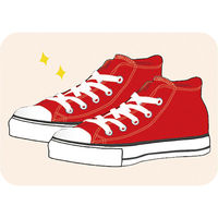 セキセイ スニケシ シューズクリーナー DEL-3315-00 1個