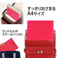 プラス 年組氏名 スクール プリントファイル A4 2ポケット レッド 79753 1冊
