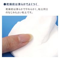 日本教材製作所 日本教材 紙粘土 Dia Doll ダイヤドール 約480g NKZ0831 1セット(5パック)