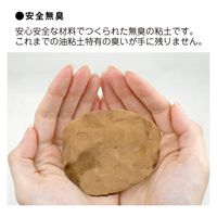 日本教材製作所 日本教材 超軽量油粘土 型どり用油粘土 ピュアクレイ ブラウン 約150g NKZ0867 1セット(5個)