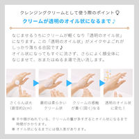 ちふれ化粧品 ウォッシャブルコールドクリームN 詰替用 300g