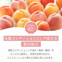 【アウトレット】sesekira（セセキラ） モイストアミノフェイシャルクレンザー 50g 2個 スワン　弱酸性　アミノ酸系　国内製造　桃の香り