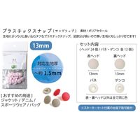 カジテック CHERRY LABEL SUN GRIP プラスチックスナップ 13mm 12組入 白 SG-501 1セット(5袋)