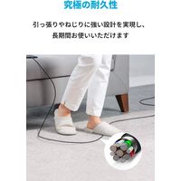 Anker USB Type-Cケーブル 0.9m 超高耐久 60W USB-C[オス]-USB-C[オス] ブラック 1個