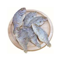 海鮮堂 干し真鯛 無添加 国産 15g 3袋 F＆Bell 犬用 猫用 おやつ