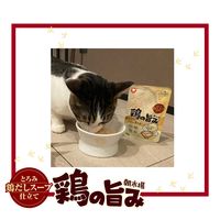 朝市場 猫用 鶏の旨みスープ 白身魚 60g 24袋 F&Bell キャットフード パウチ