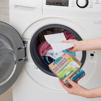 ドクターベックマン（Dr.Beckmann） ECO 色移り防止シート カラー&ダートコレクター 1箱（40枚入） イーオクト