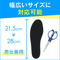 Dr.Scholl　強力消臭・抗菌　インソール　804501　(2枚入）ショールズウェルネスカンパニー